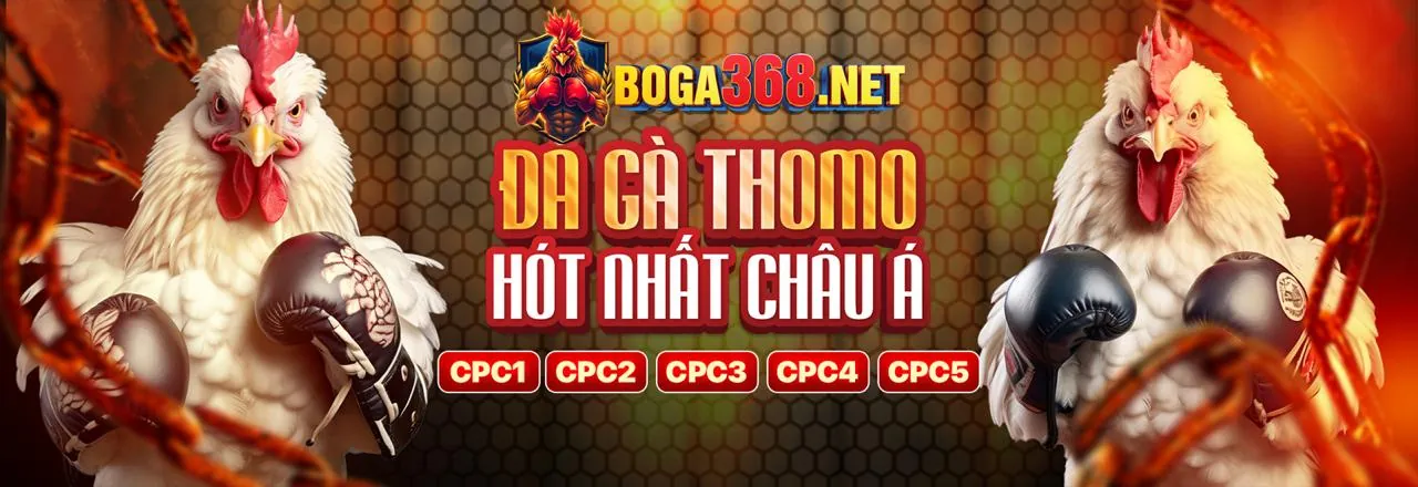 Hình ảnh Điều Khoản Dịch Vụ Thabet Login
